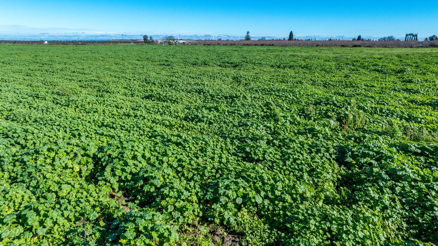 11097 S Union Rd, Manteca, CA 95336