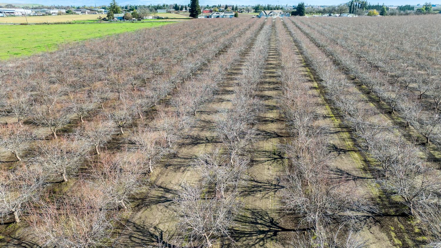 11097 S Union Rd, Manteca, CA 95336