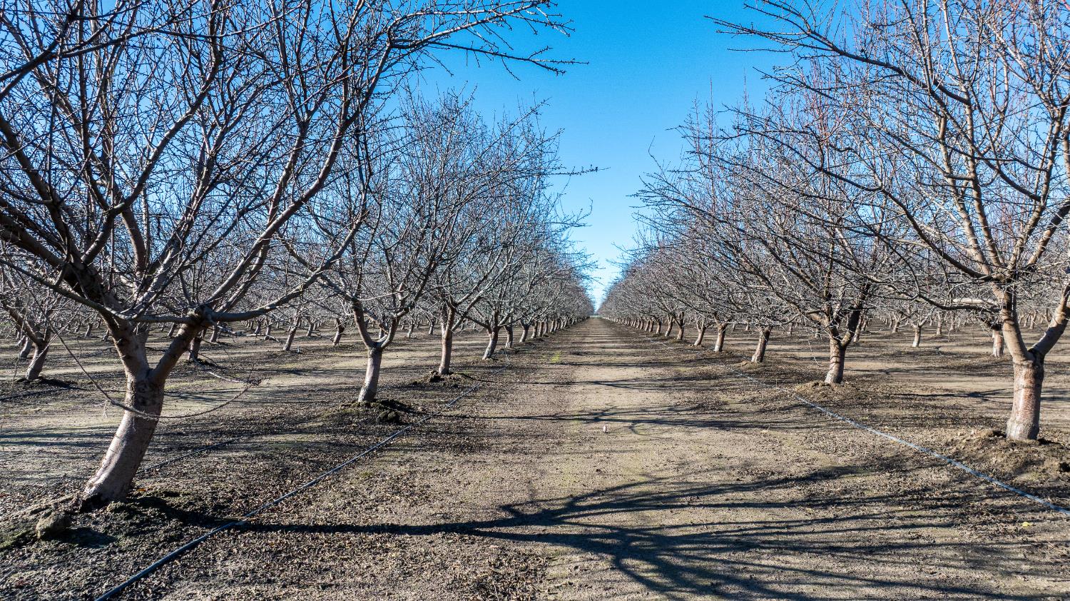 11097 S Union Rd, Manteca, CA 95336