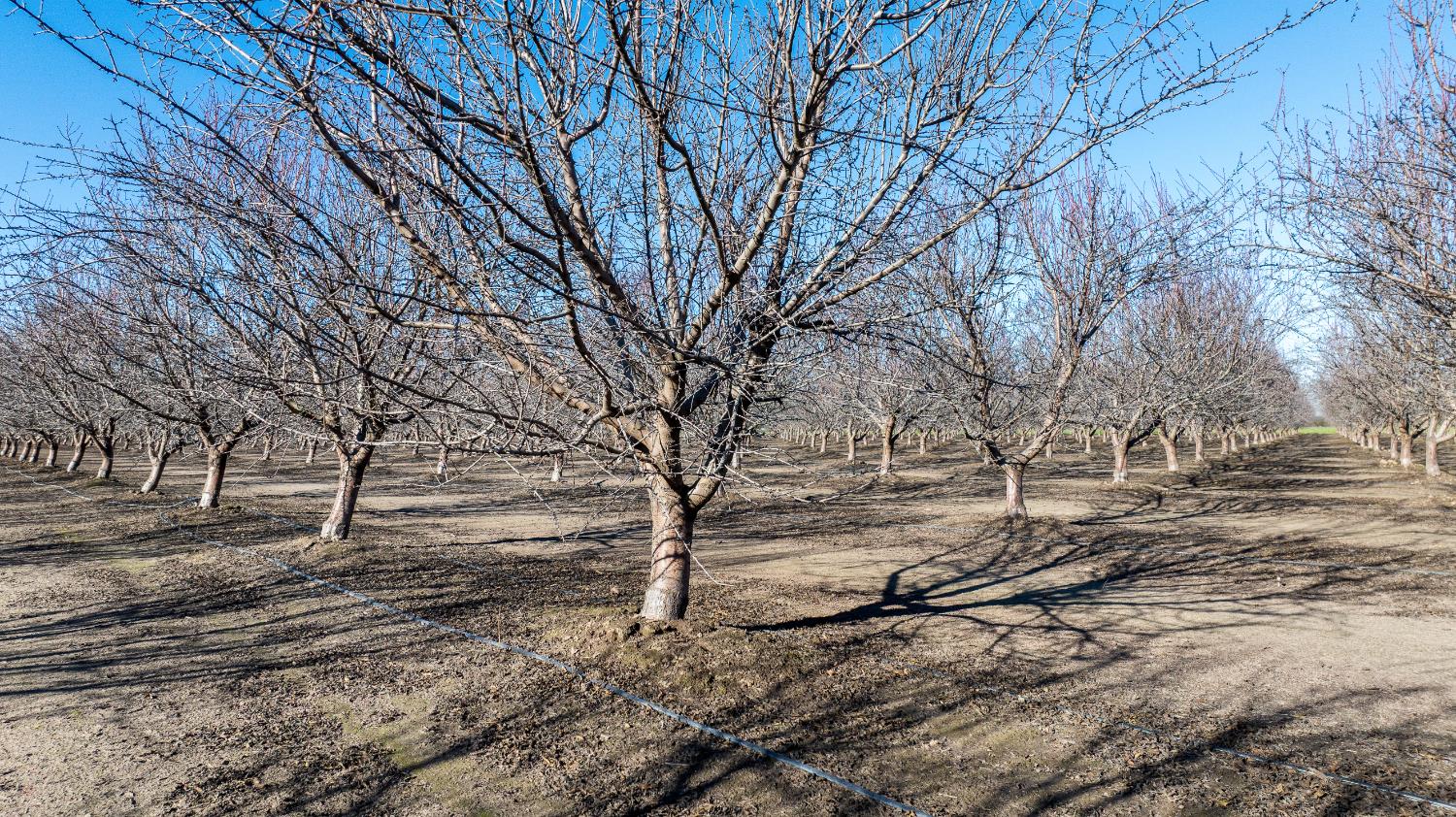 11097 S Union Rd, Manteca, CA 95336