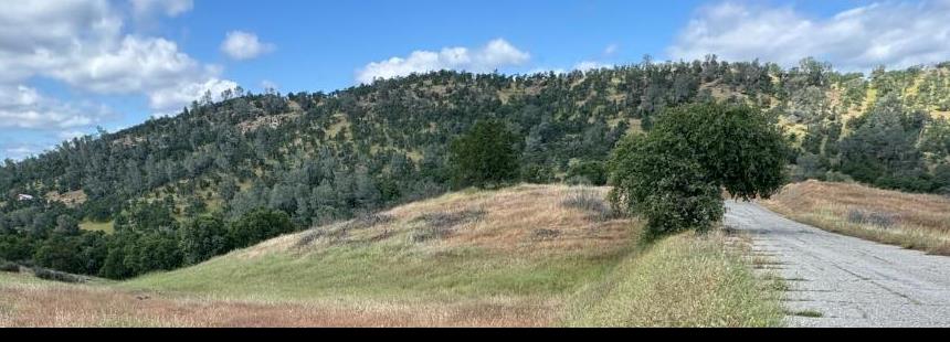 569 Bolivar, La Grange, CA 95329