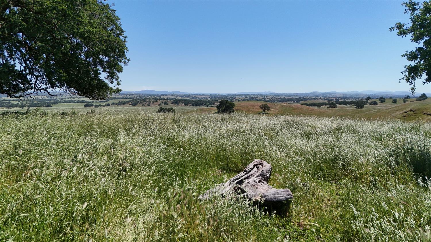 26363 Cooperstown Rd. Rd, La Grange, CA 95329