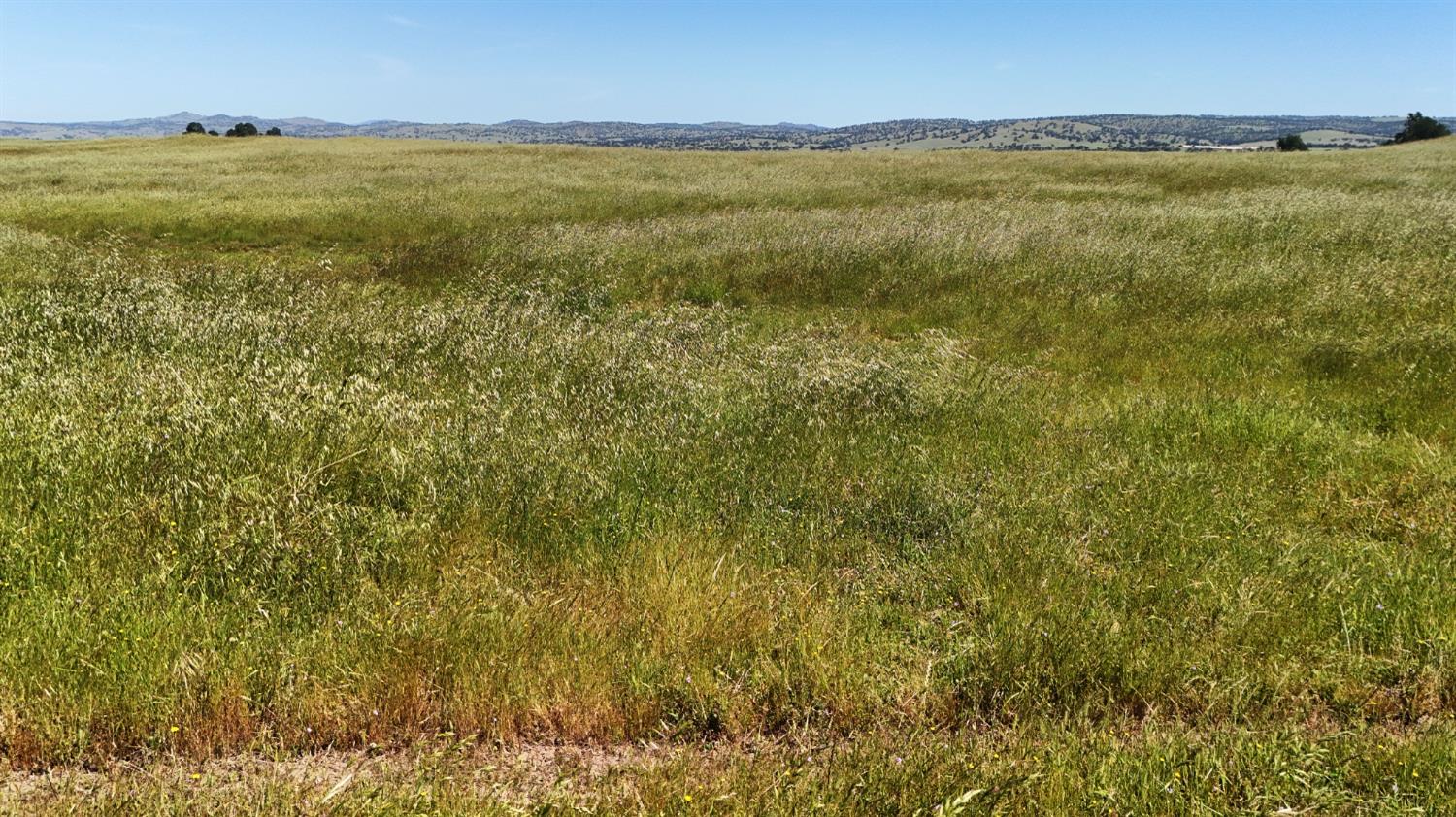 26363 Cooperstown Rd. Rd, La Grange, CA 95329