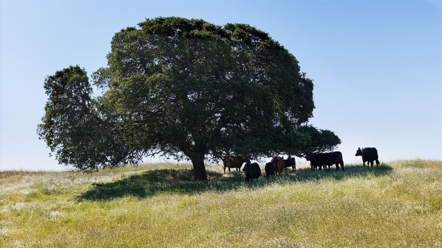 26363 Cooperstown Rd. Rd, La Grange, CA 95329