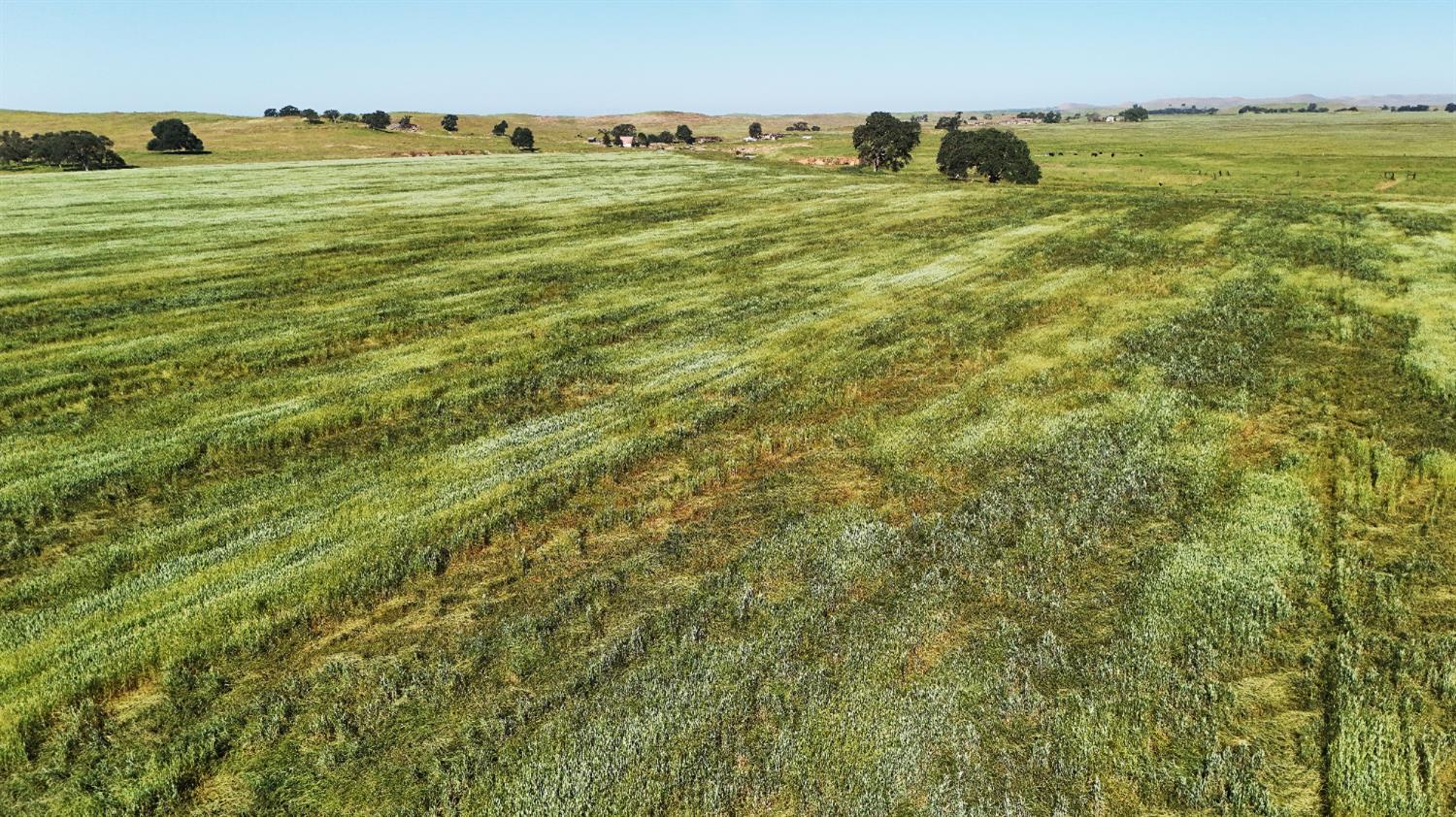 26363 Cooperstown Rd. Rd, La Grange, CA 95329