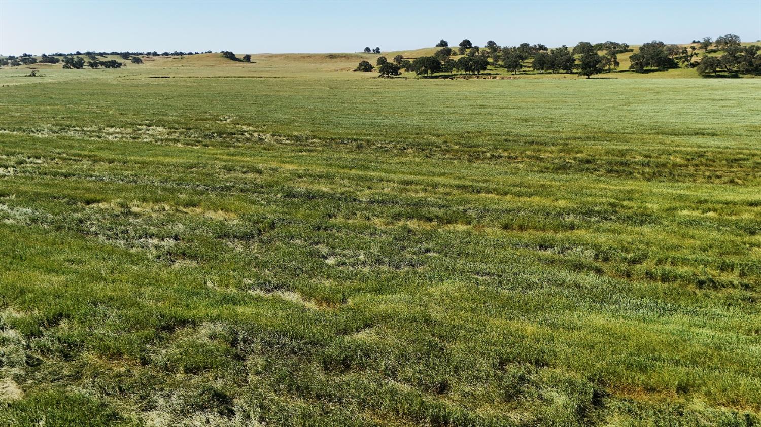 26363 Cooperstown Rd. Rd, La Grange, CA 95329