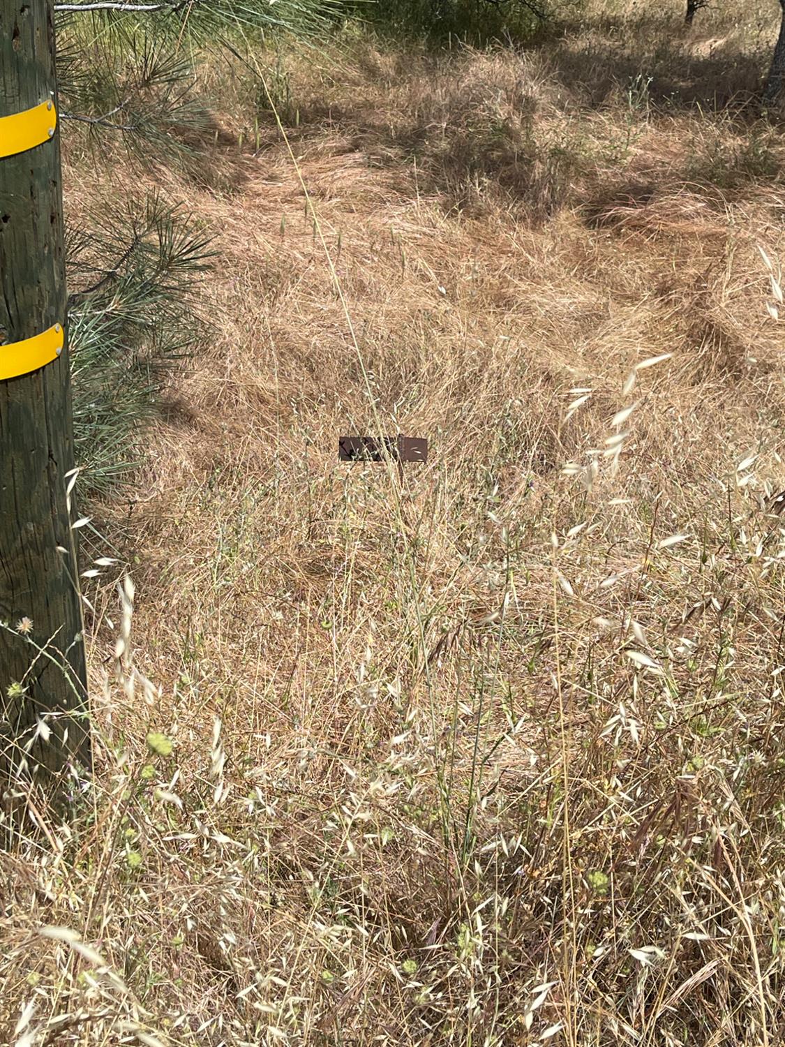 0 Hoyito, La Grange, CA 95329