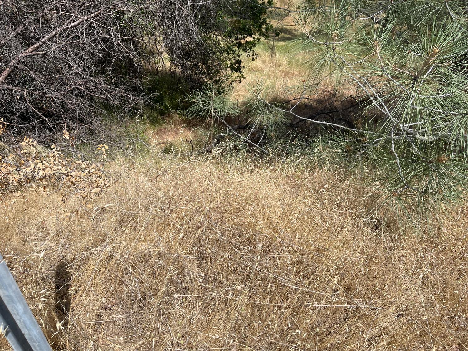 0 Hoyito, La Grange, CA 95329