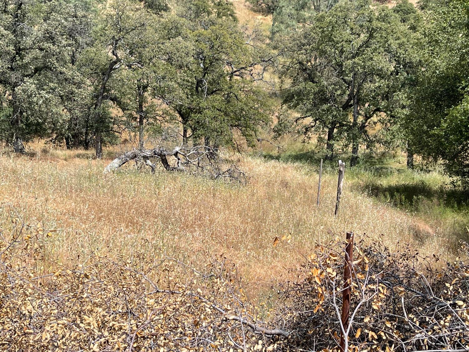 0 Hoyito, La Grange, CA 95329