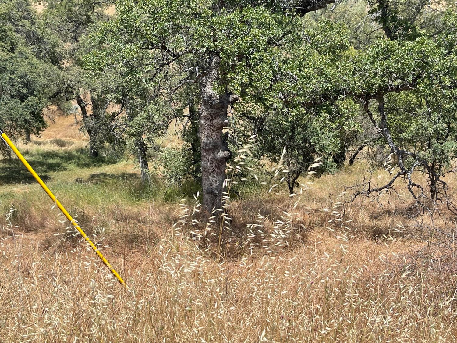 0 Hoyito, La Grange, CA 95329