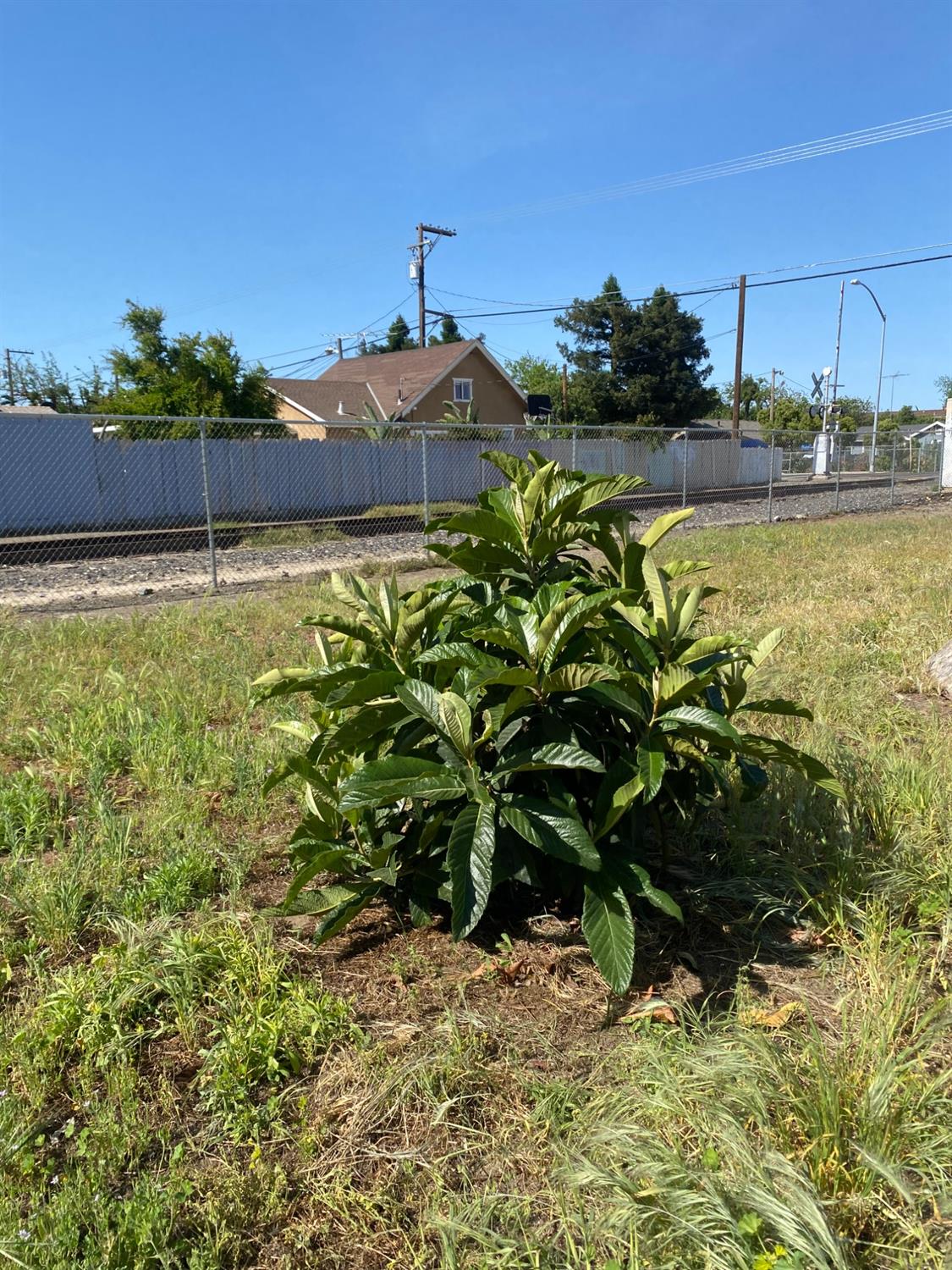 350 West Ave, Turlock, CA 95380