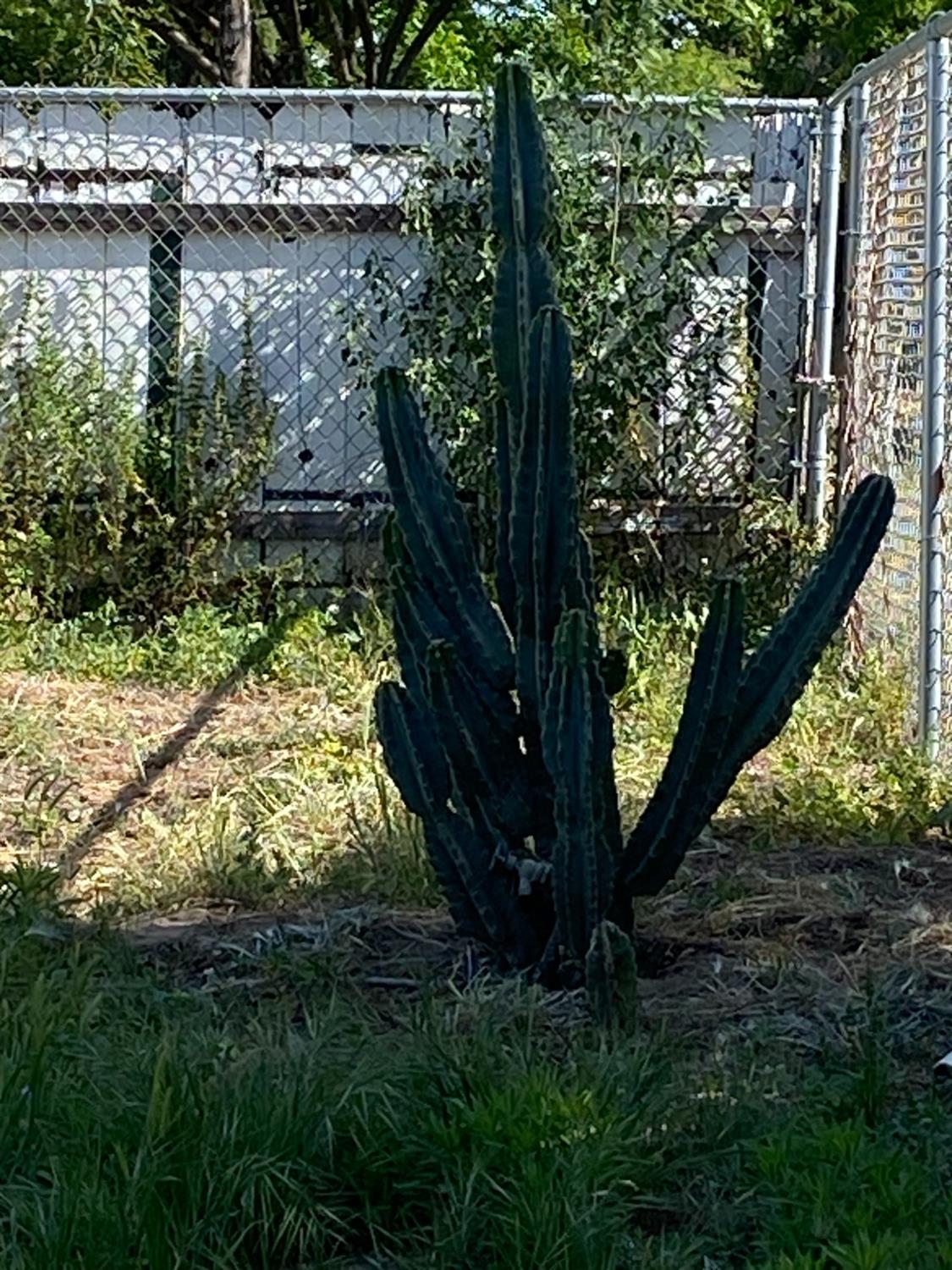 350 West Ave, Turlock, CA 95380