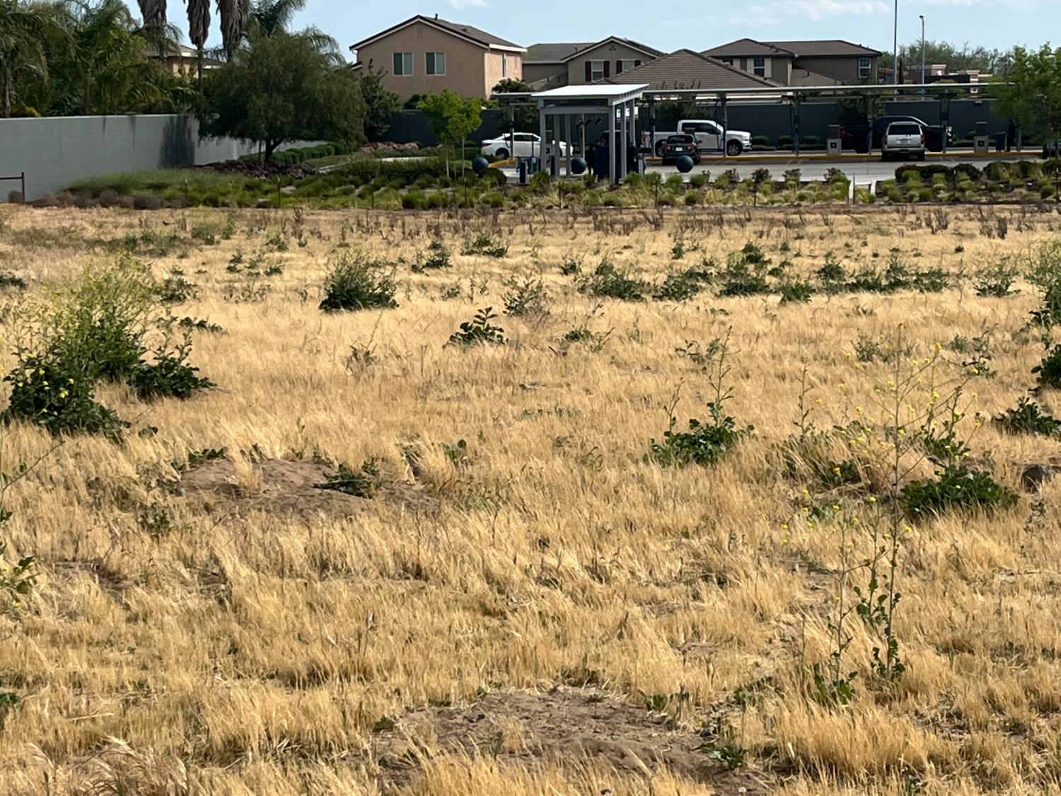 2038 Wawona St, Manteca, CA 95337