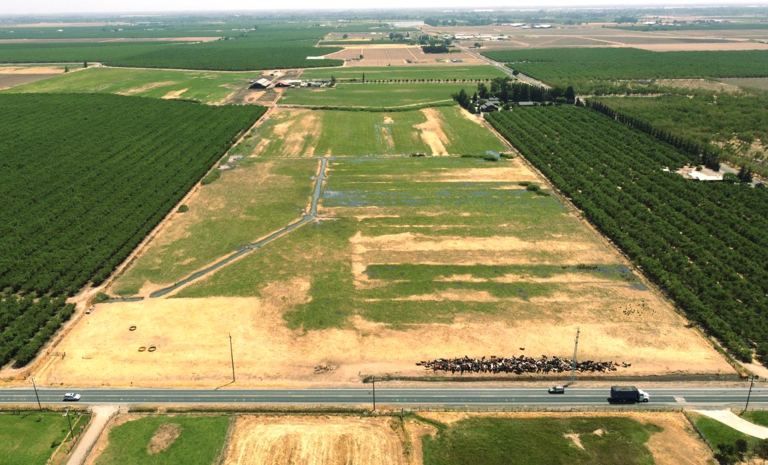 0 32.89 AC Claribel Rd, Oakdale, CA 95361