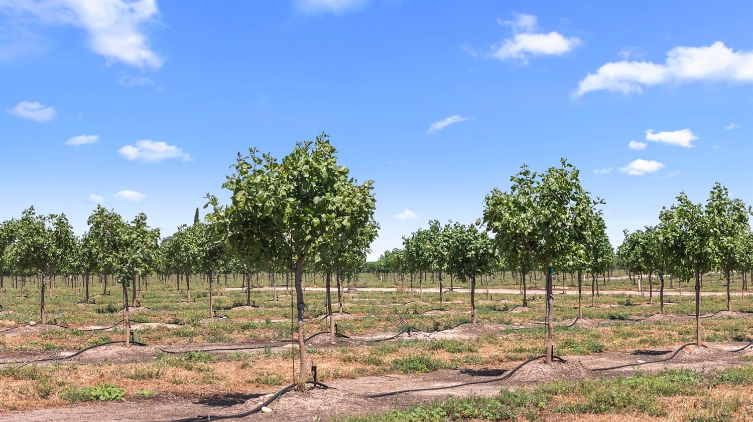 15743 N Allen Rd, Snelling, CA 95369