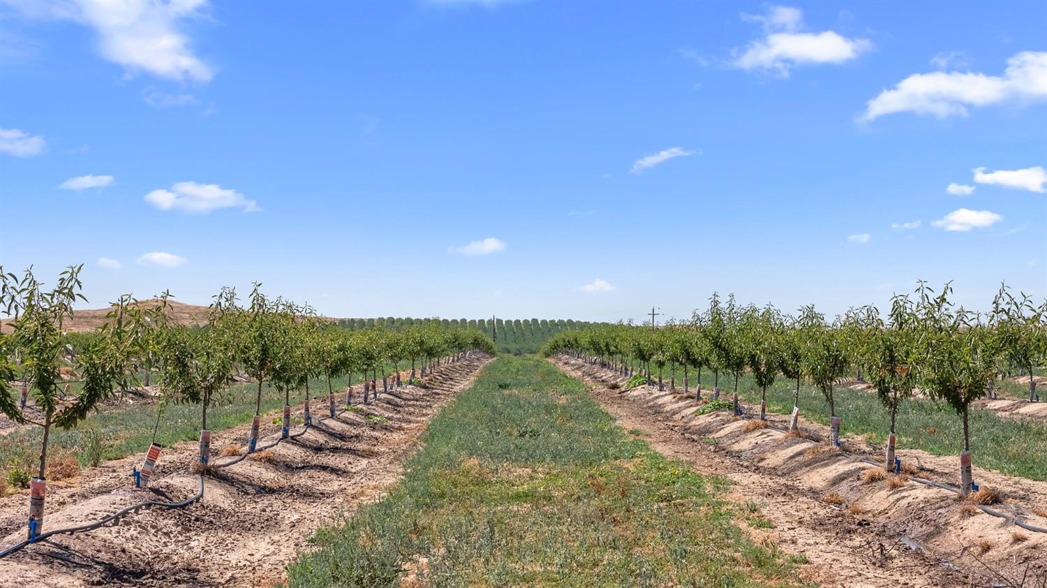 15743 N Allen Rd, Snelling, CA 95369