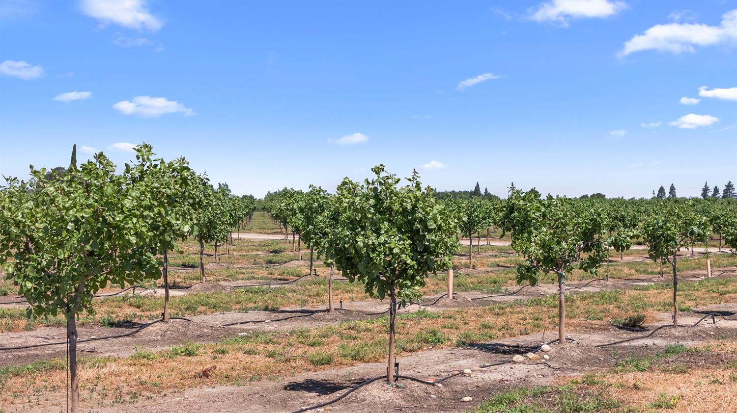 15743 N Allen Rd, Snelling, CA 95369