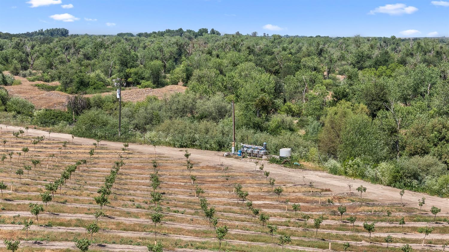 15743 N Allen Rd, Snelling, CA 95369