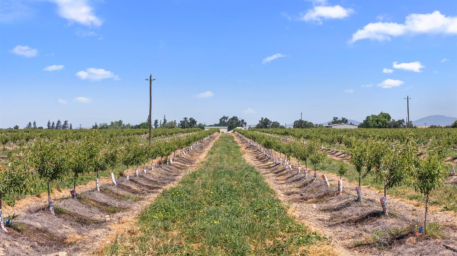 15743 N Allen Rd, Snelling, CA 95369