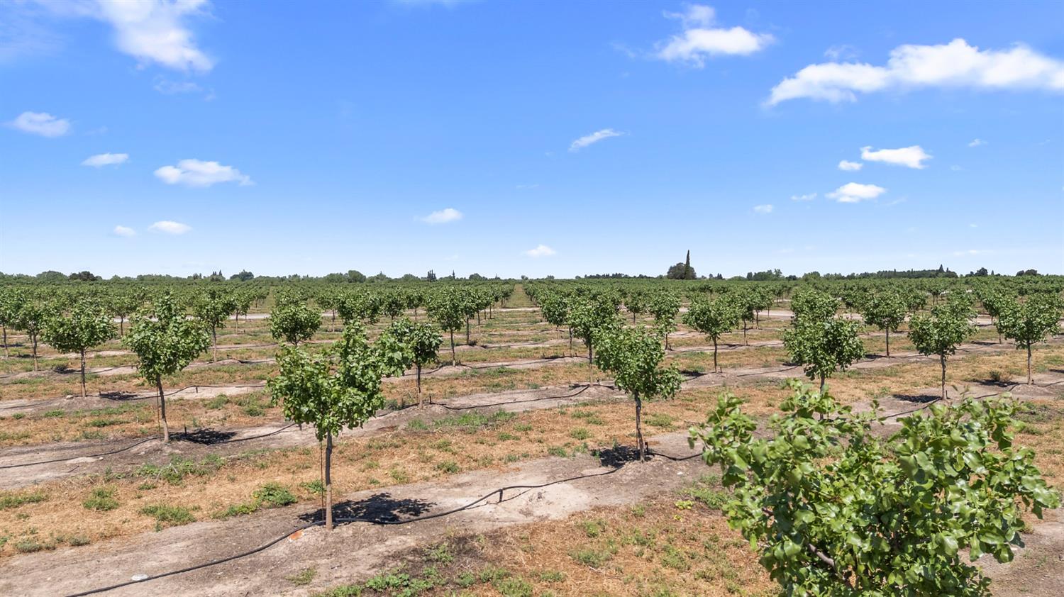 15743 N Allen Rd, Snelling, CA 95369