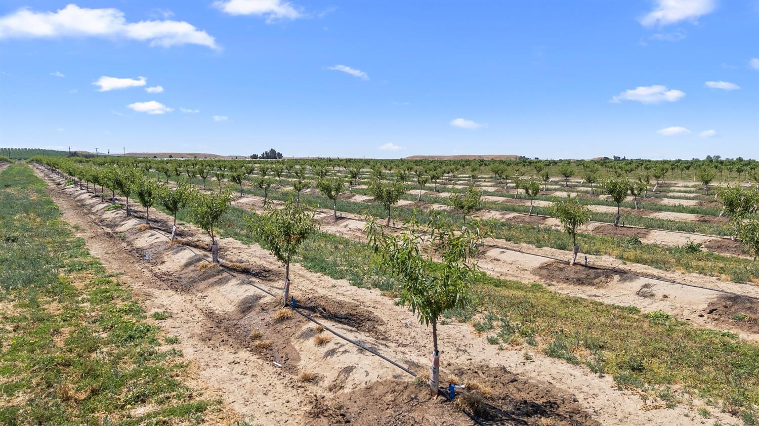 15743 N Allen Rd, Snelling, CA 95369