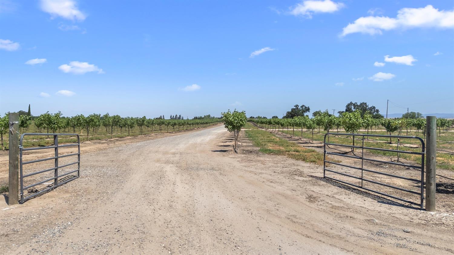 15743 N Allen Rd, Snelling, CA 95369