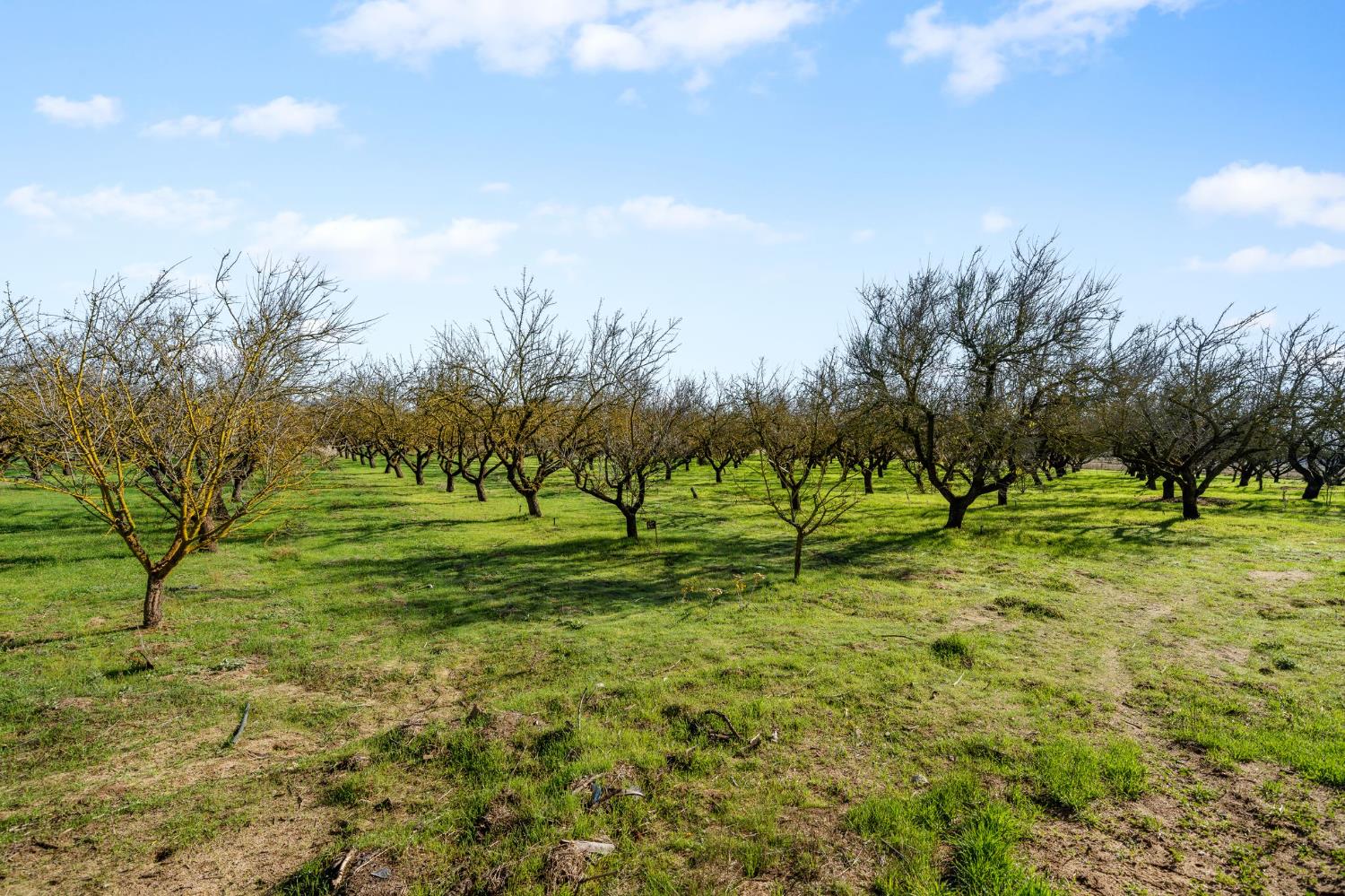 6312 Skittone Rd, Modesto, CA 95356