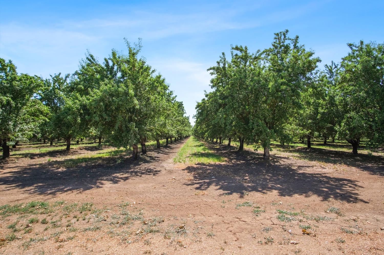 18413 Sycamore Ave, Patterson, CA 95363