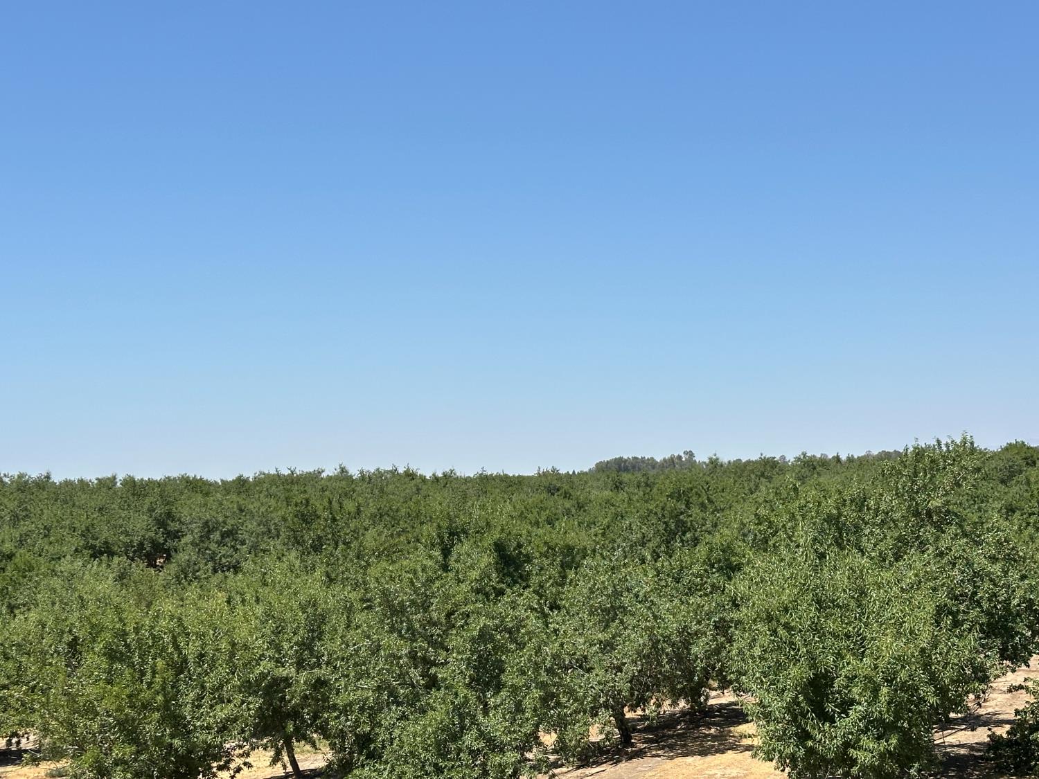 29710 Avenue 15 1/2, Madera, CA 29710