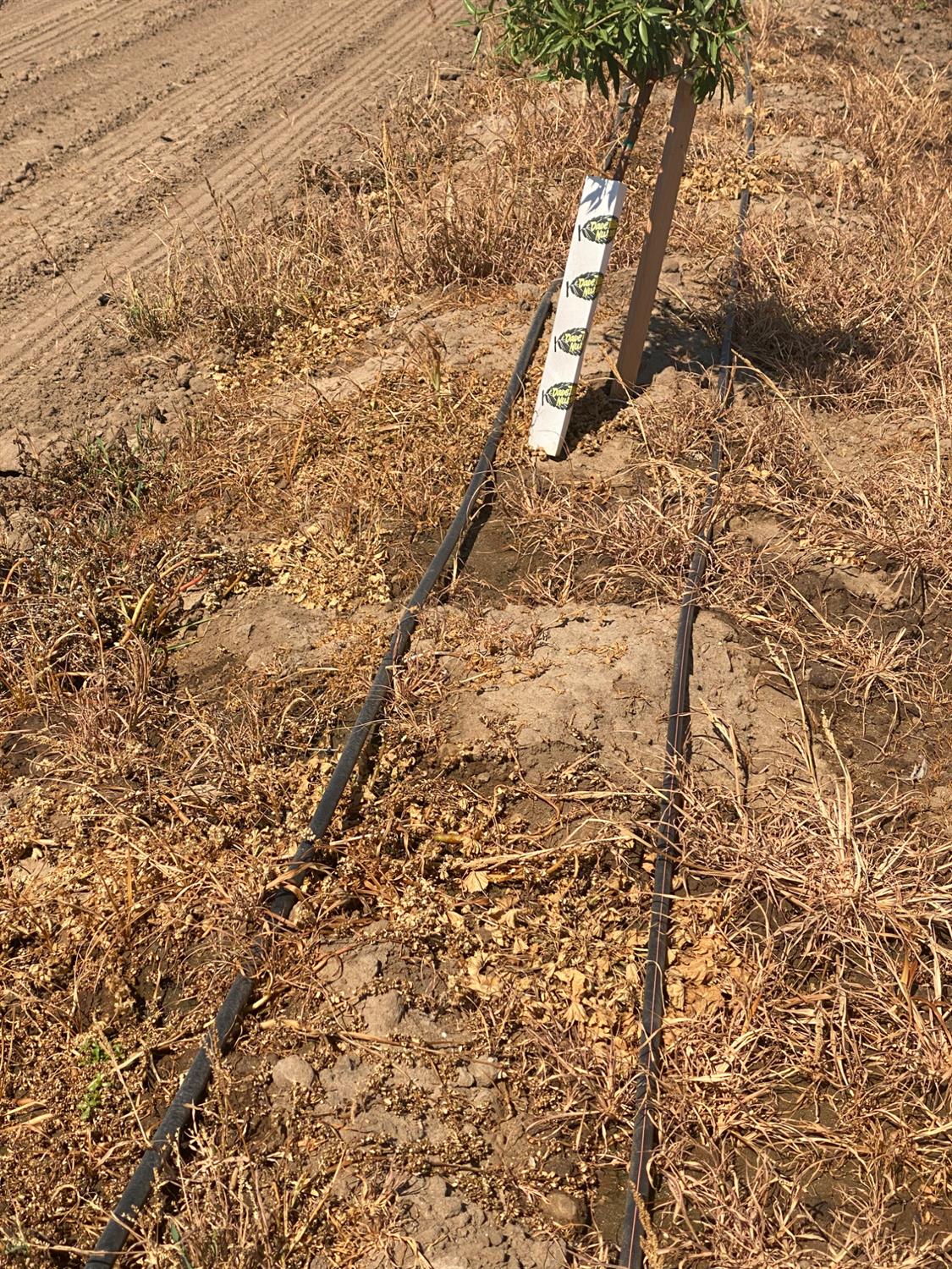 3000 Woodland Ave, Modesto, CA 95358