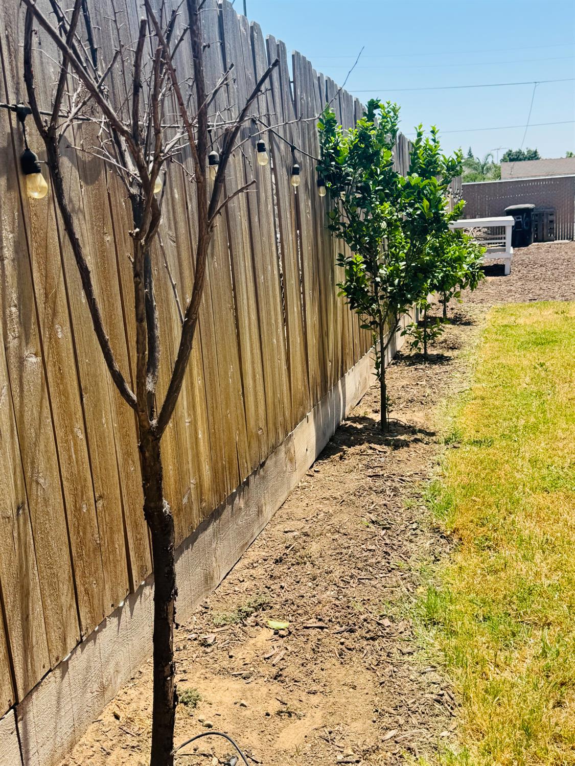 3761 Arizona Ave, Riverbank, CA 95367