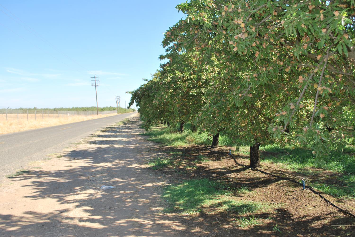 0 Fox Rd, Atwater, CA 95301