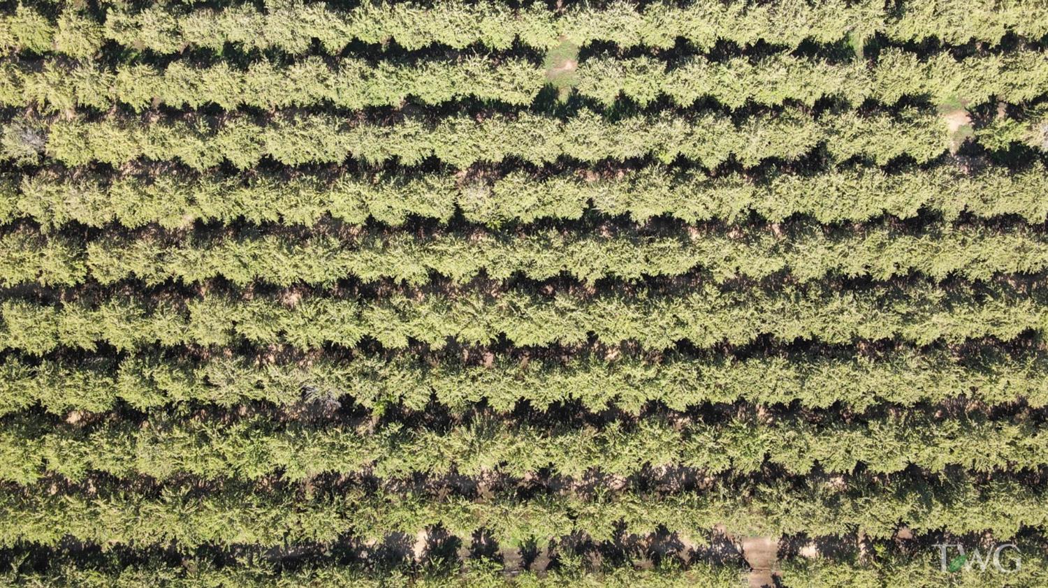 0 Fox Rd, Atwater, CA 95301