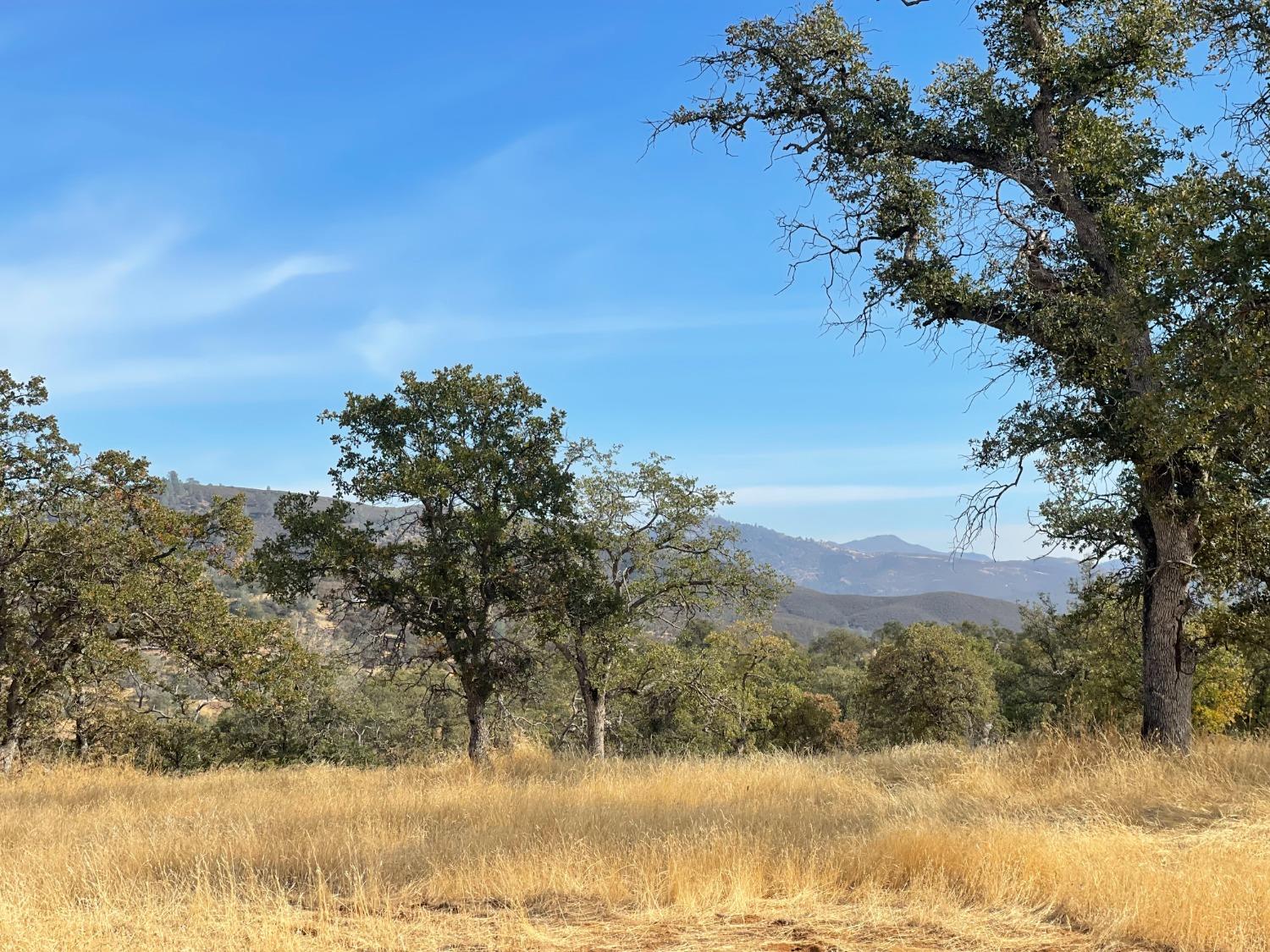 10090 Arbolada Dr, La Grange, CA 95329