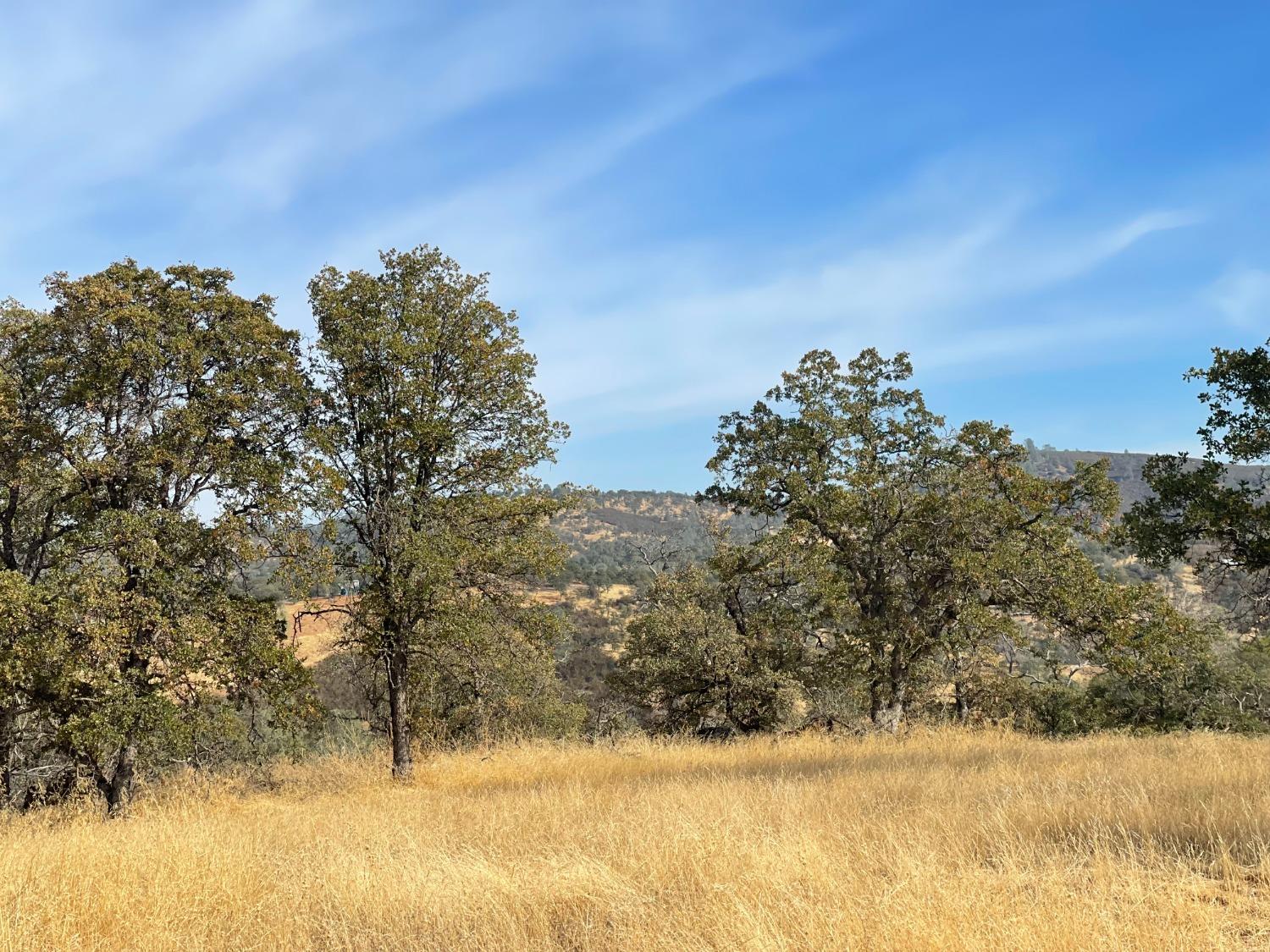 10090 Arbolada Dr, La Grange, CA 95329