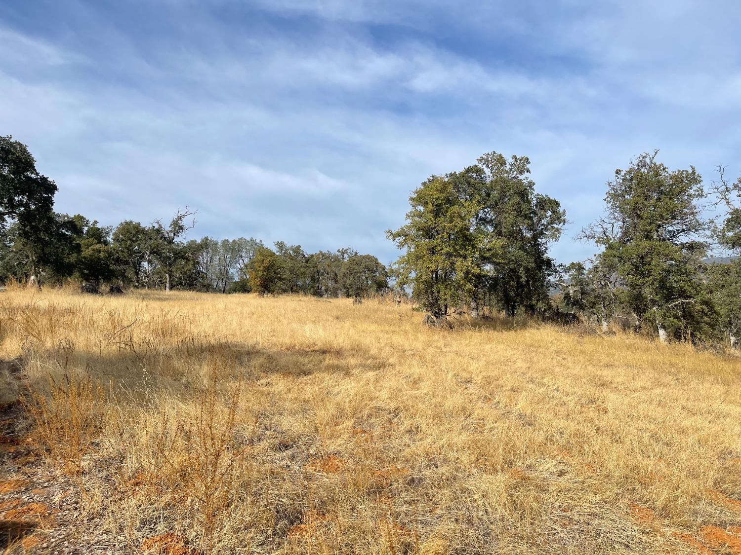 10090 Arbolada Dr, La Grange, CA 95329