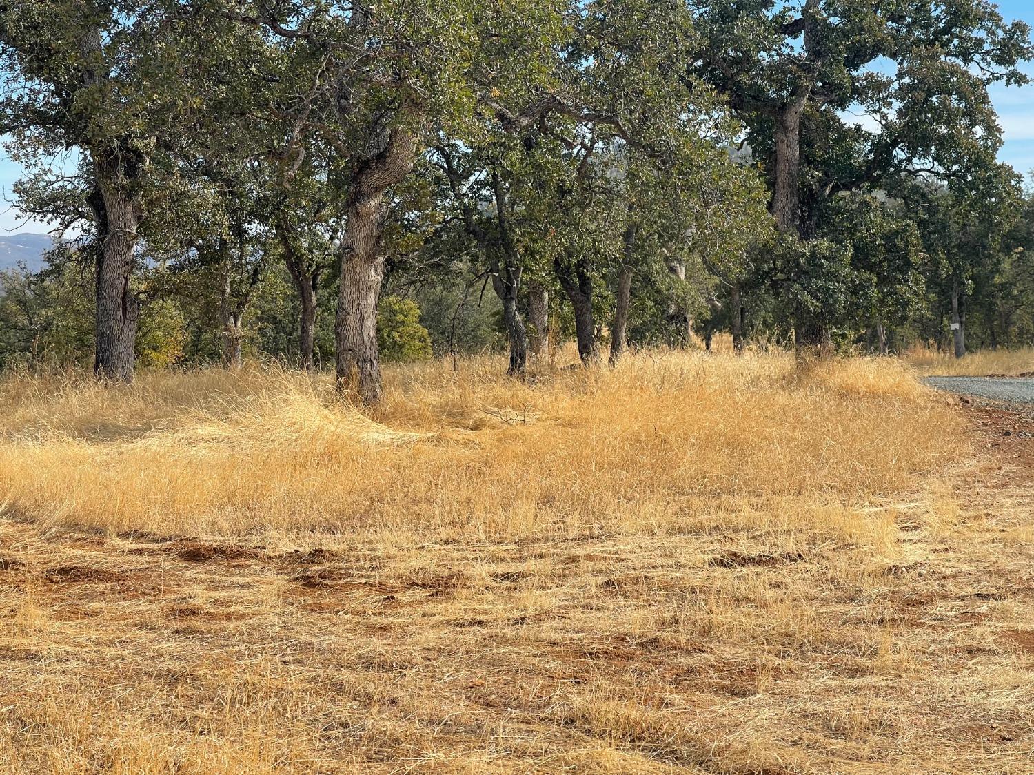 10090 Arbolada Dr, La Grange, CA 95329