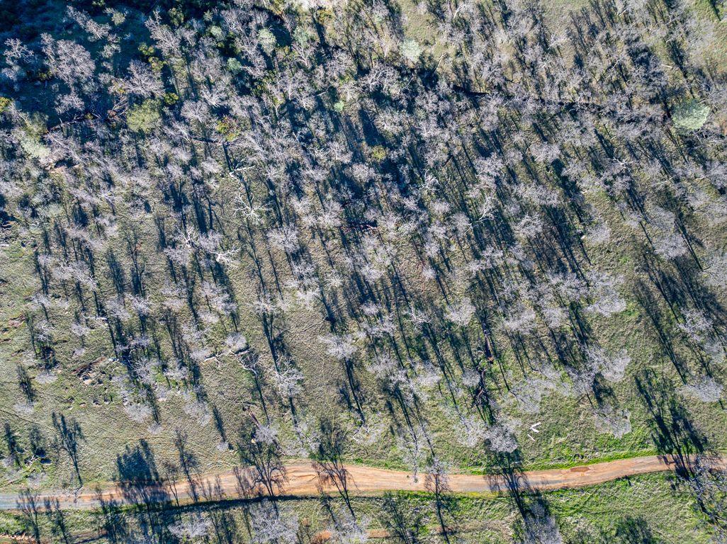 10090 Arbolada Dr, La Grange, CA 95329