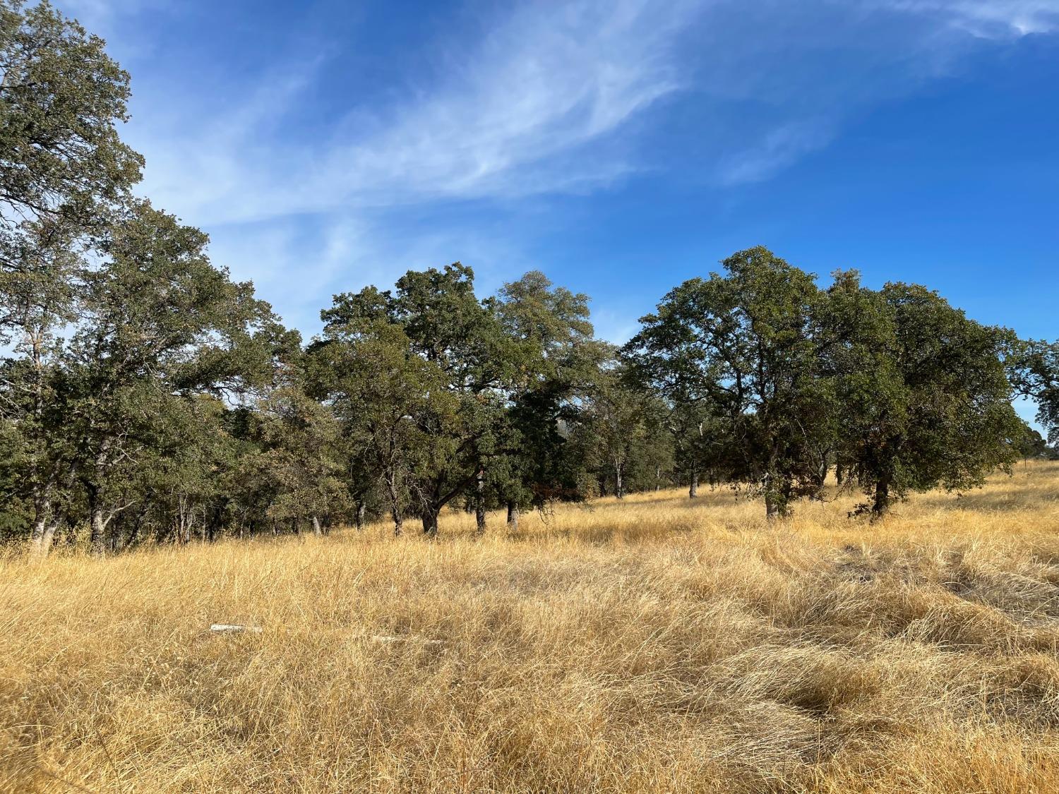 10090 Arbolada Dr, La Grange, CA 95329