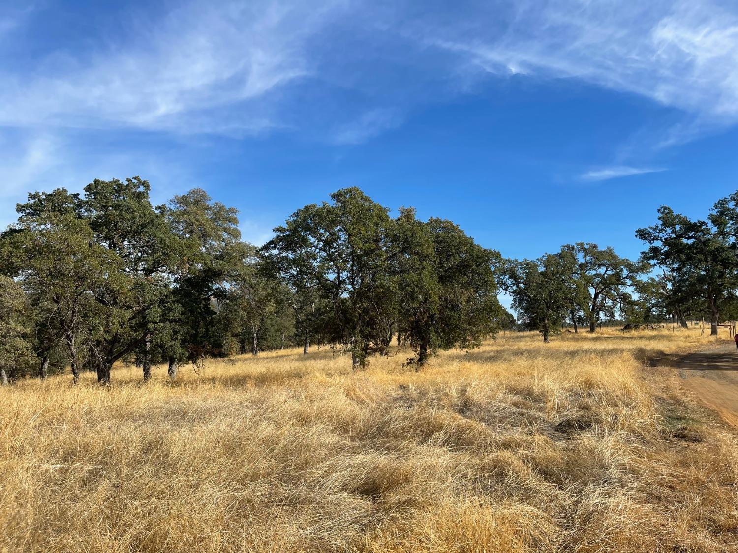 10090 Arbolada Dr, La Grange, CA 95329