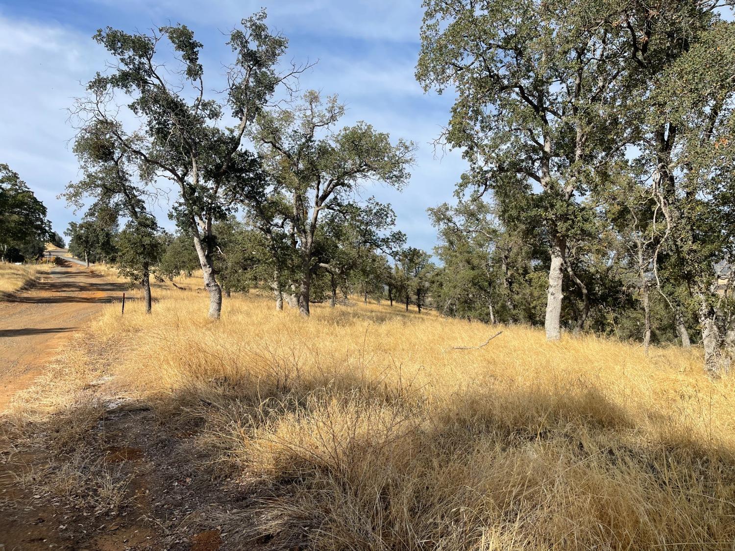 10090 Arbolada Dr, La Grange, CA 95329