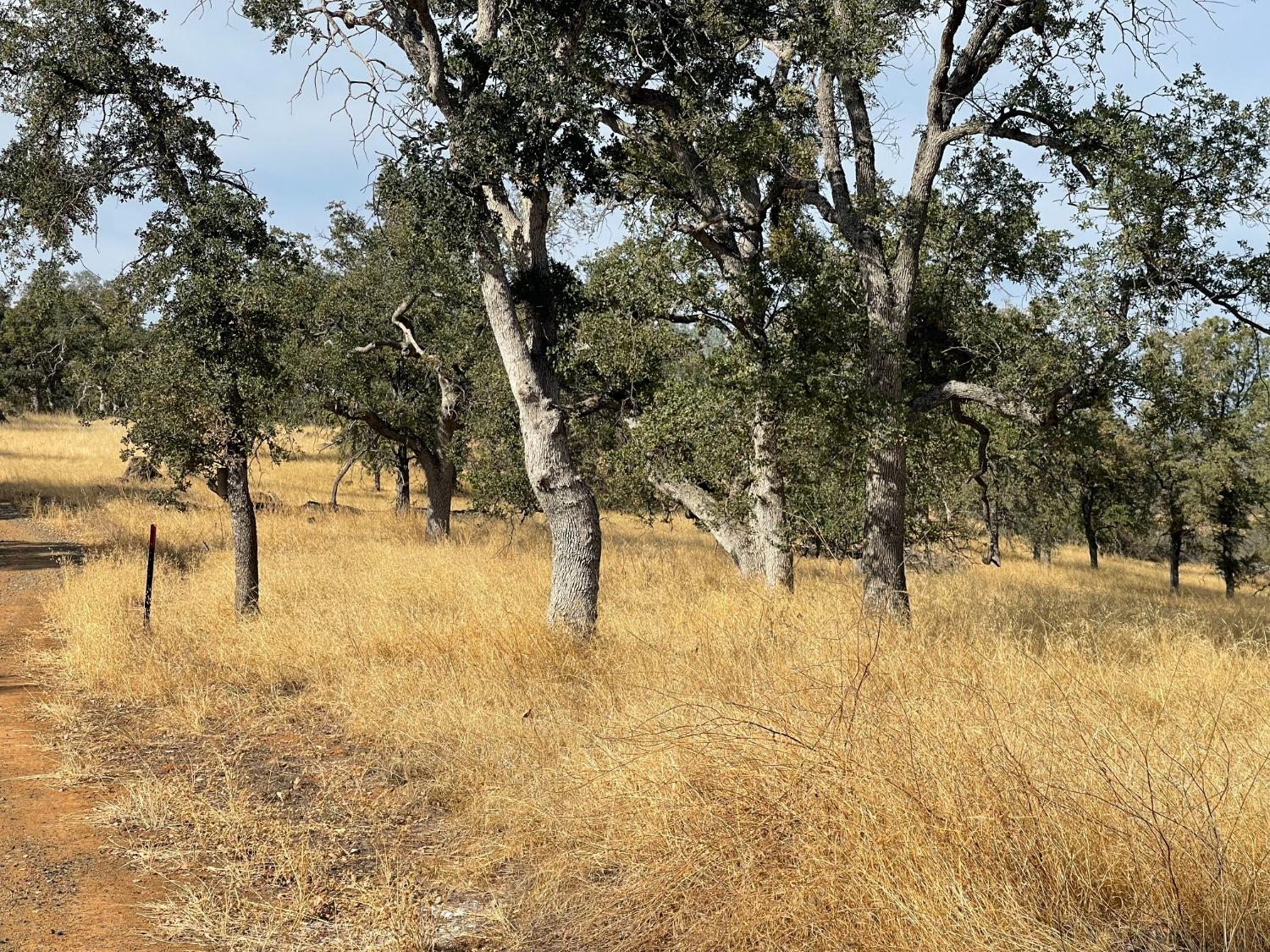 10090 Arbolada Dr, La Grange, CA 95329