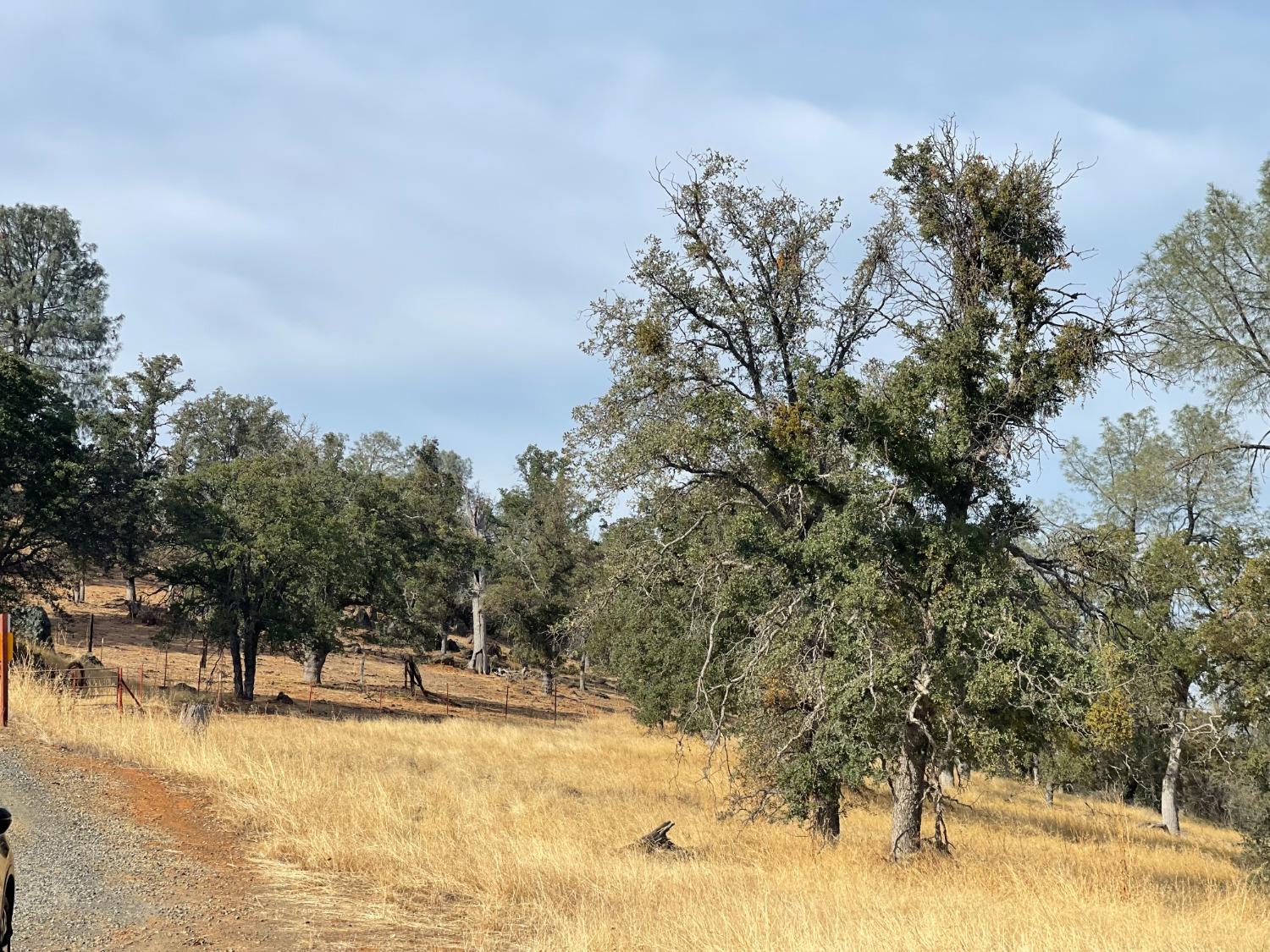 10090 Arbolada Dr, La Grange, CA 95329