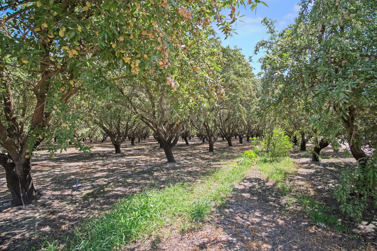 2404 Sultana Ave, Atwater, CA 95301