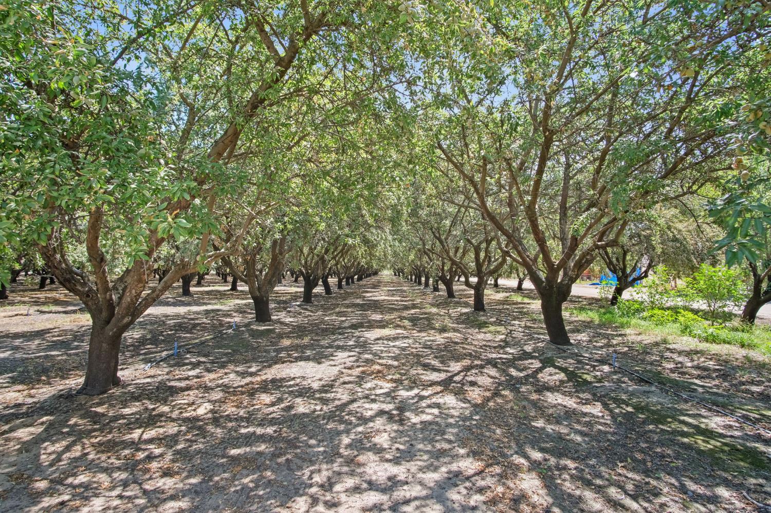 2404 Sultana Ave, Atwater, CA 95301