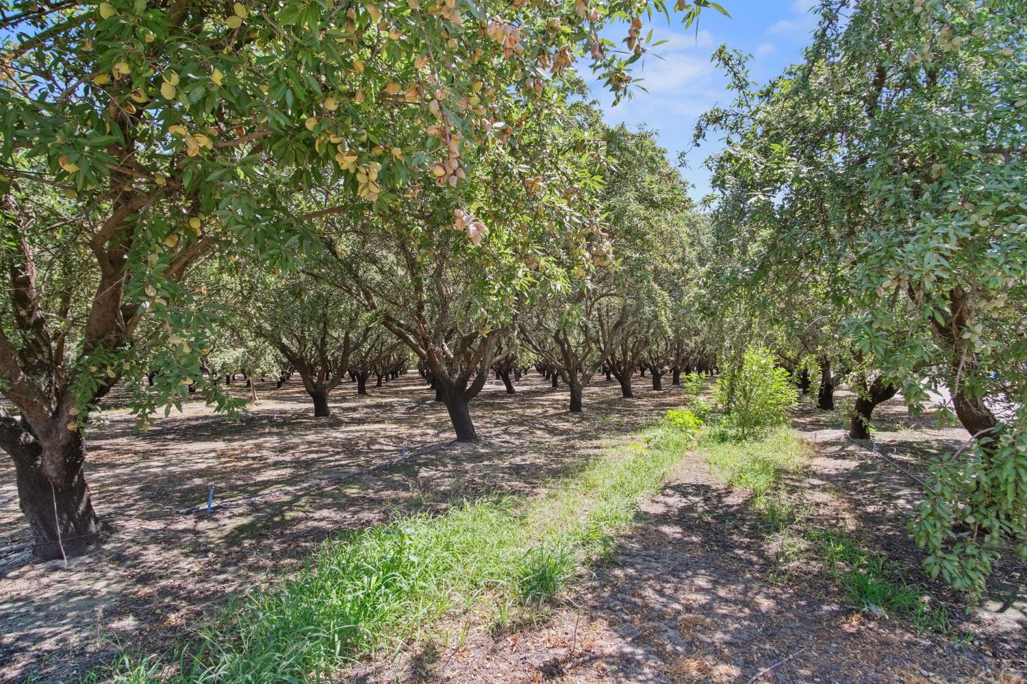 2404 Sultana Ave, Atwater, CA 95301