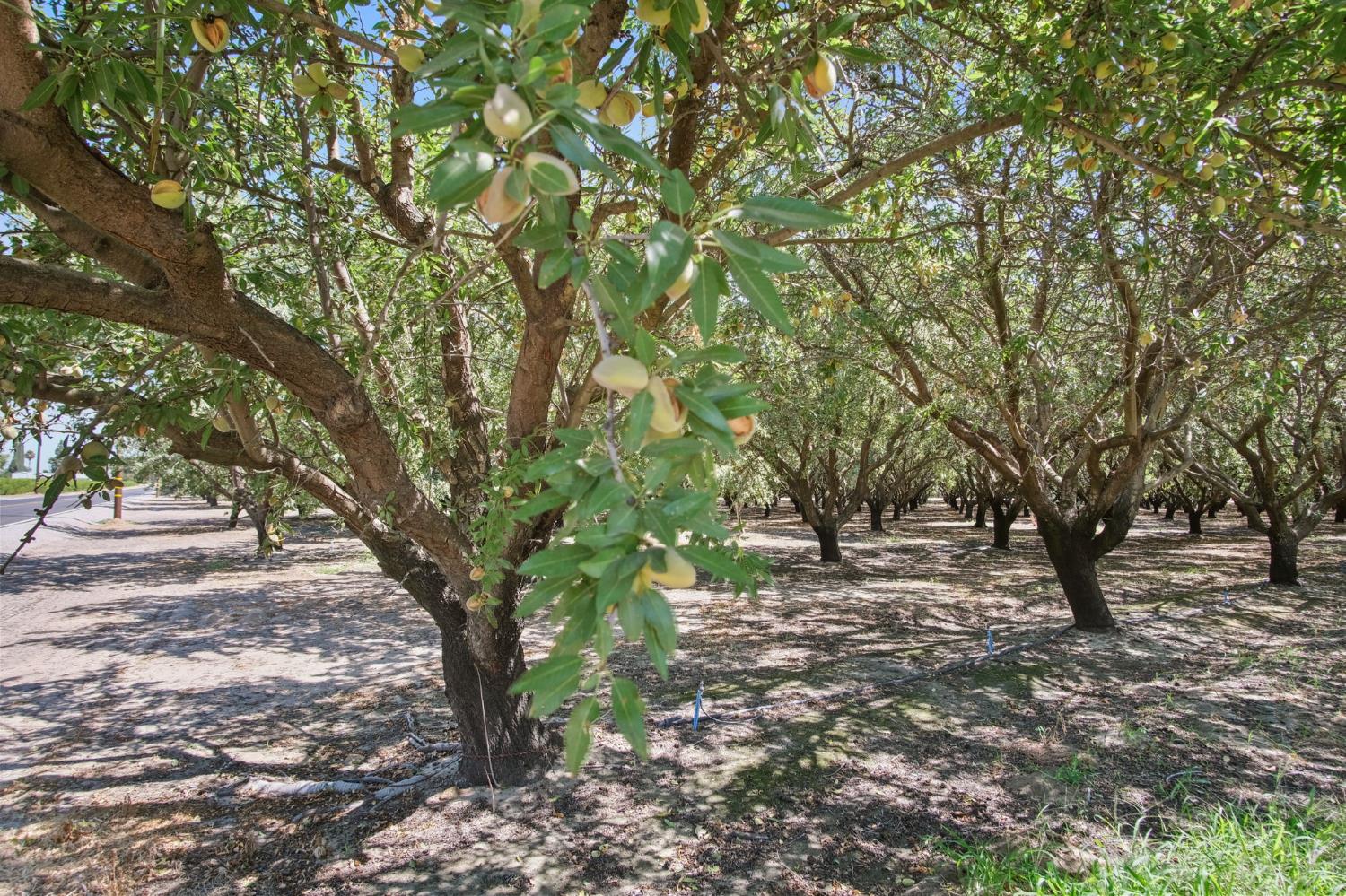 2404 Sultana Ave, Atwater, CA 95301