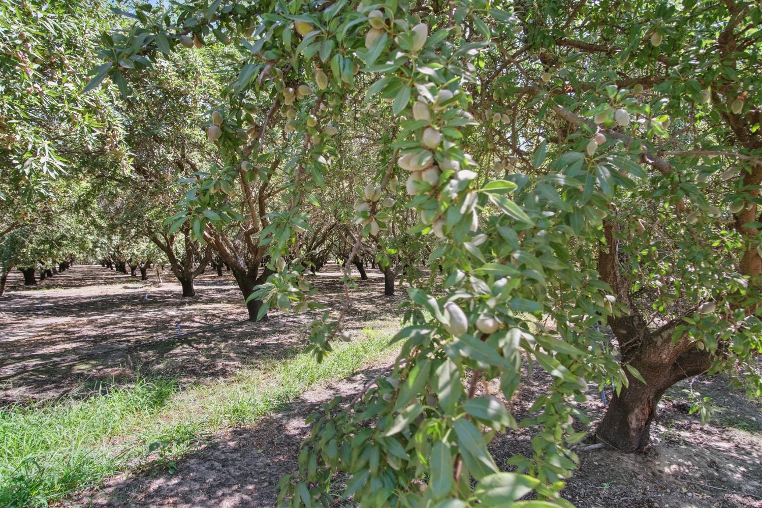 2404 Sultana Ave, Atwater, CA 95301