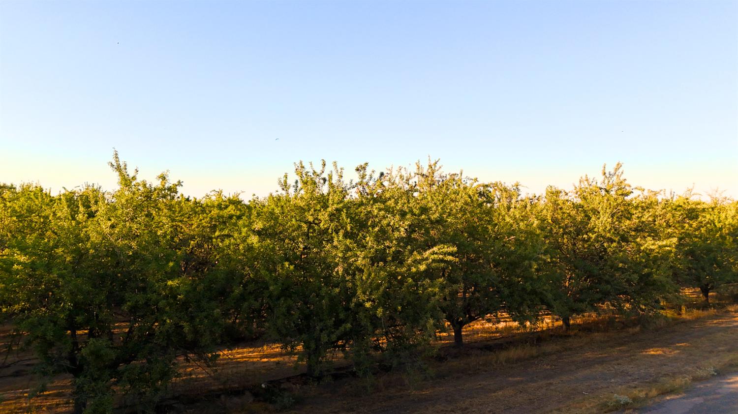 0 Rd 18 & Ave 16, Madera, CA 93637