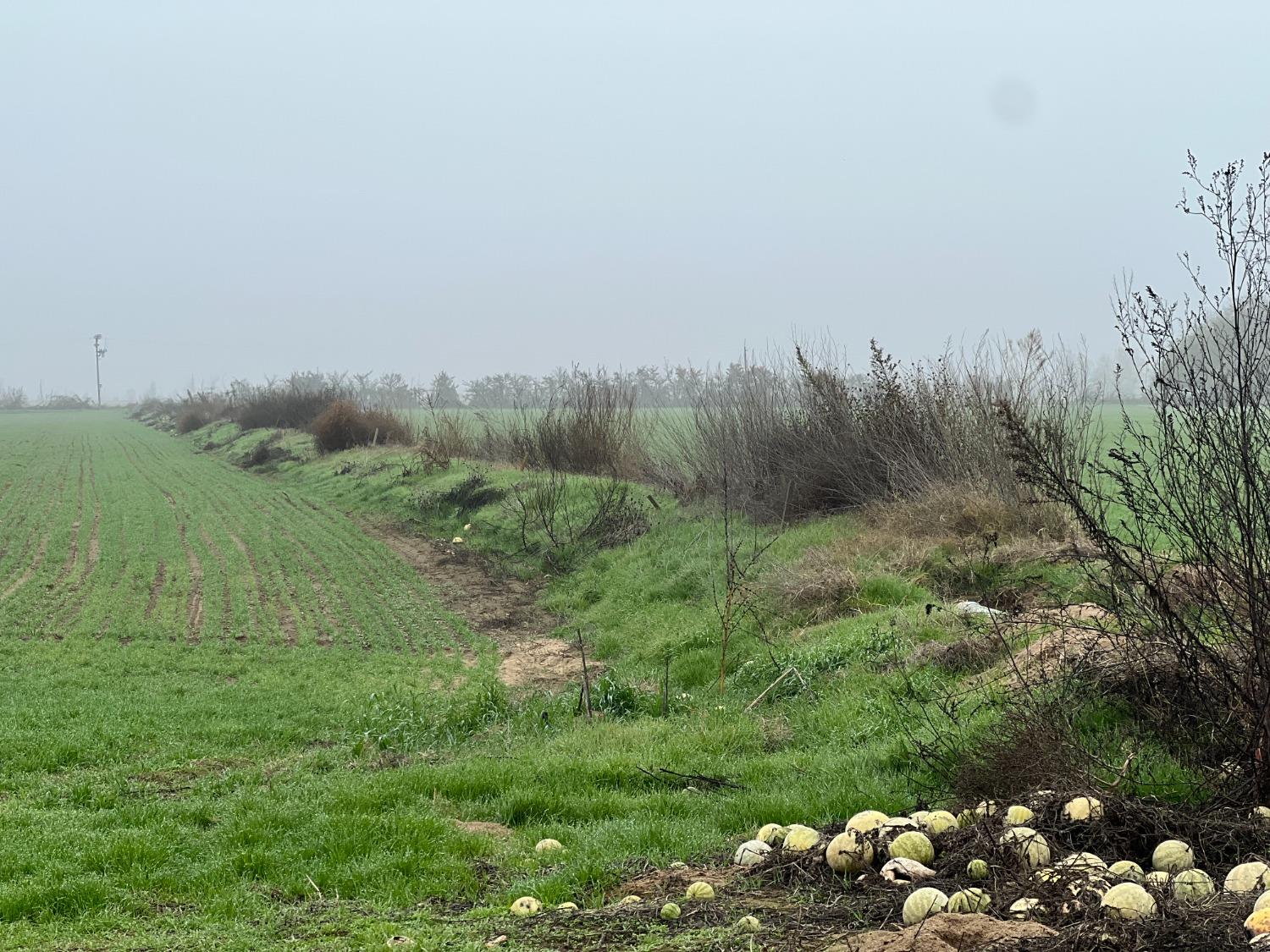 15238 Sunset Dr, Livingston, CA 95334